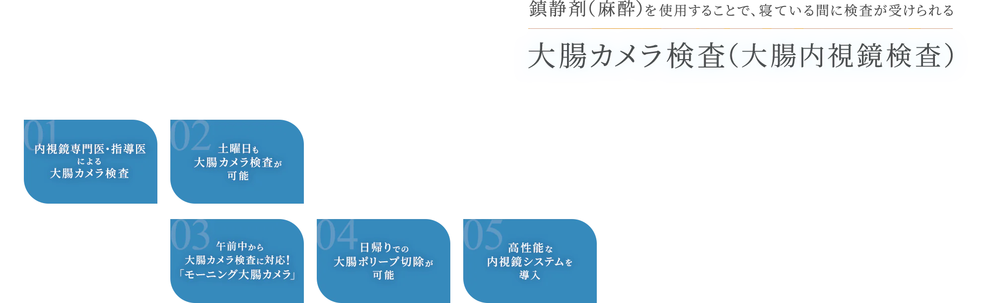 神戸市で大腸カメラ検査(大腸内視鏡検査)なら田中内科クリニック